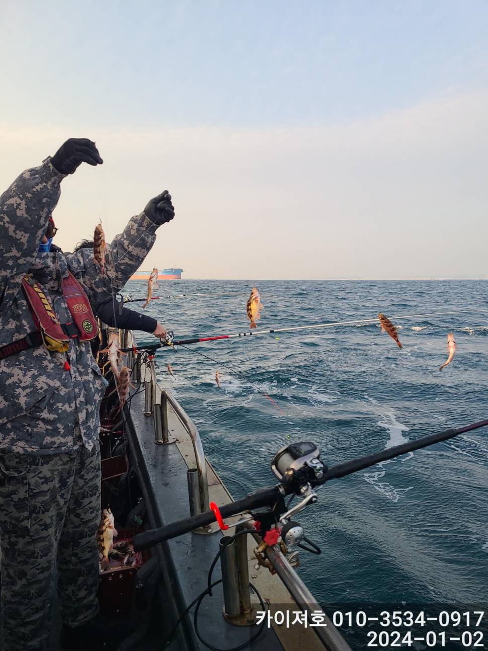 2일 오전 볼라열기 타작 (조황조행기 - 바다선상조황)