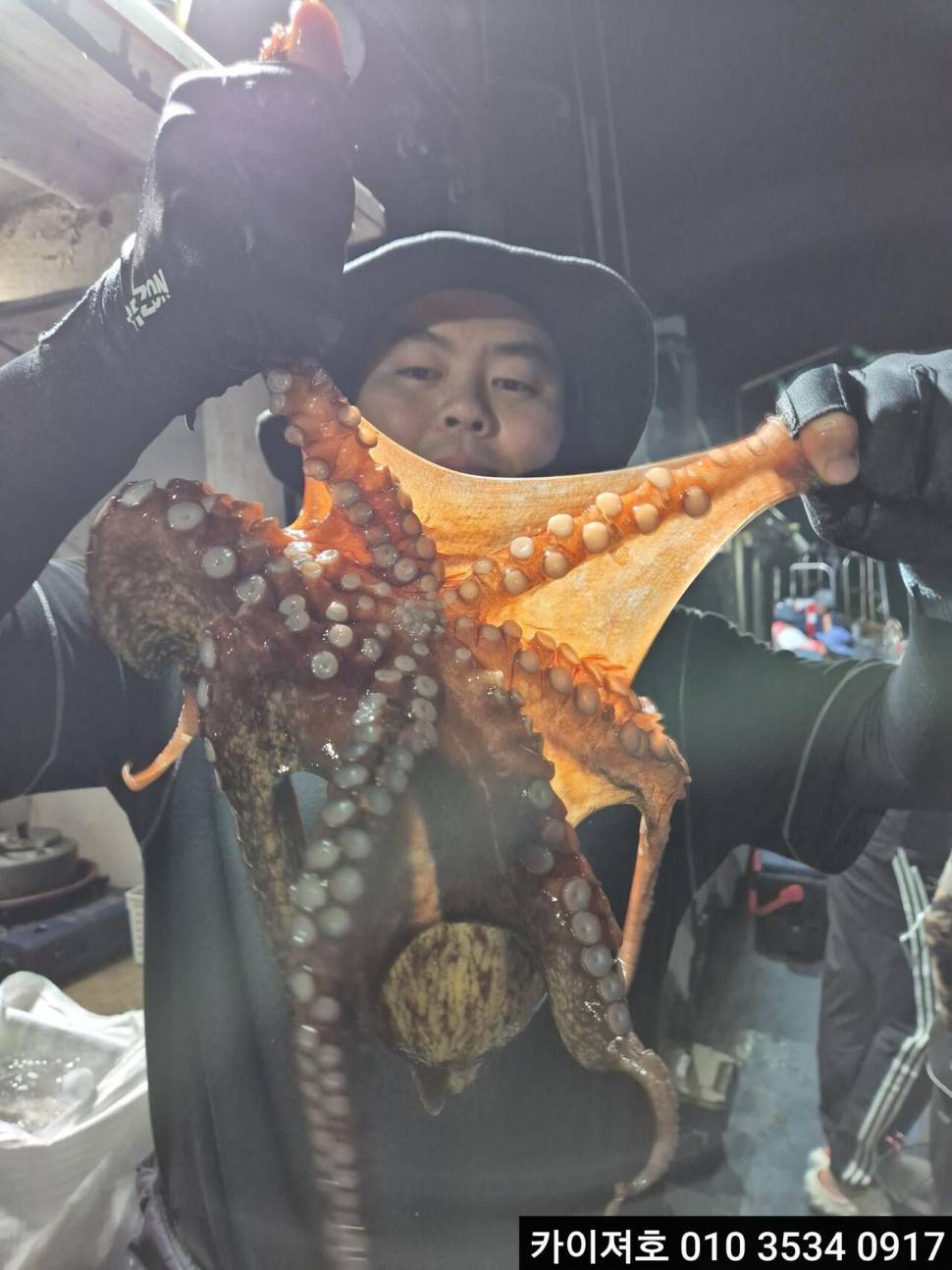 29일 야간 돌문어 조황 (조황조행기 - 바다선상조황)