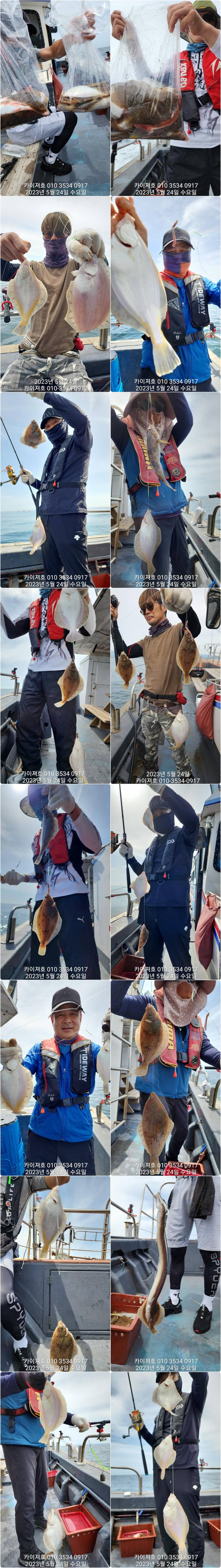 토요일 오전 오후 자리 많음도다리참가자미 억수로 잘 나오는데ㅎ (조황조행기 - 바다선상조황)