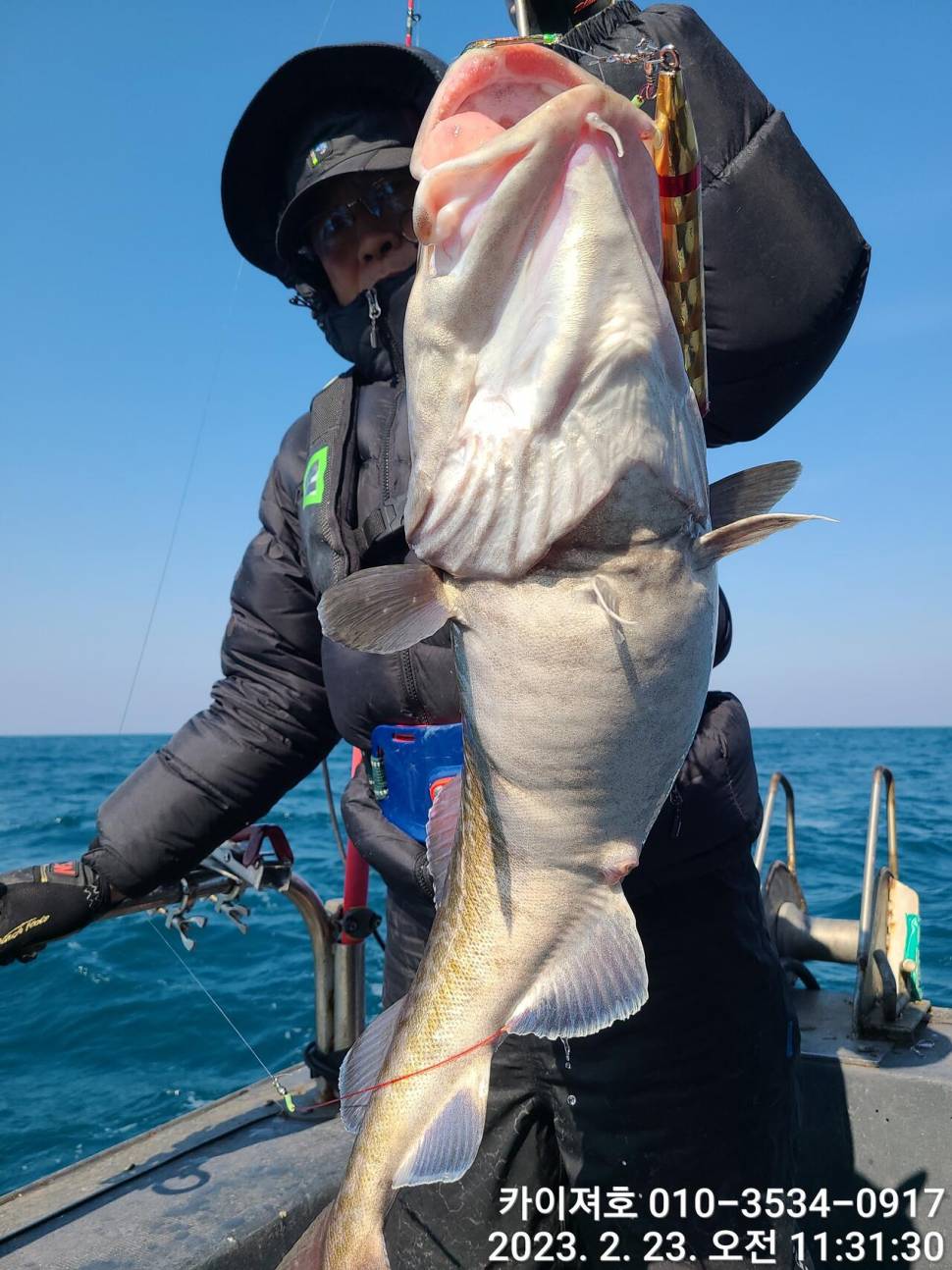 23일 포항 왕대구 장원20여수 (조황조행기 - 바다선상조황)