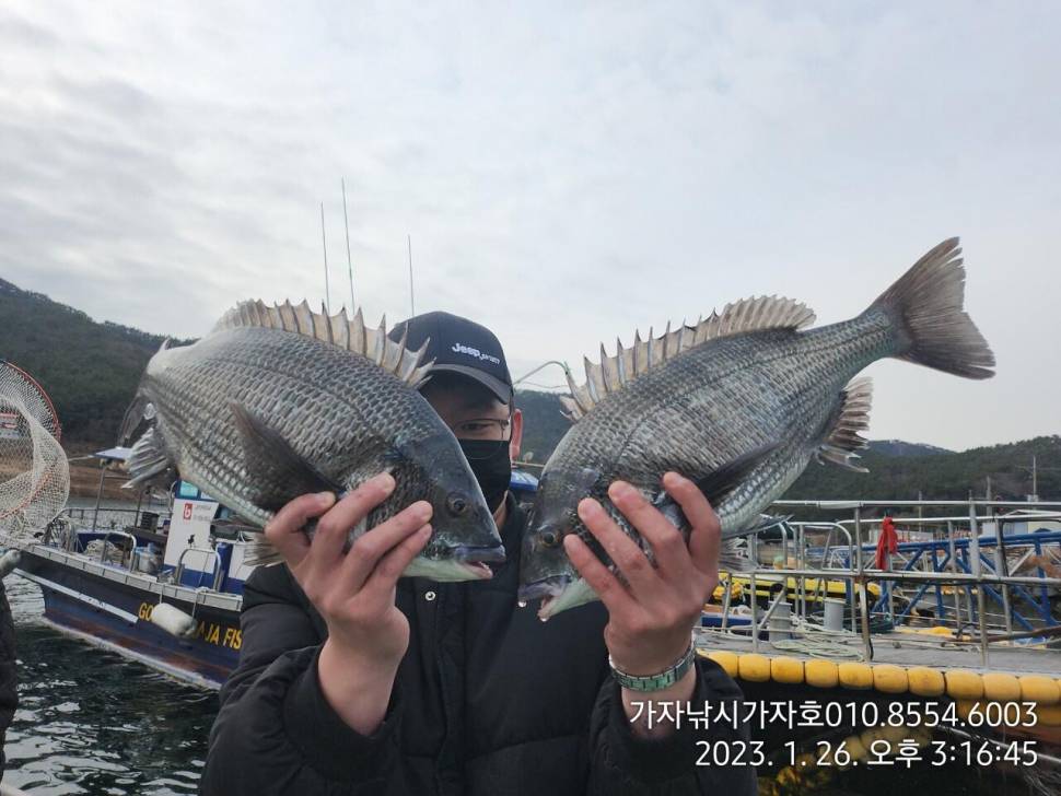 감성돔 금요일 자리여유 (조황조행기 - 바다선상조황)
