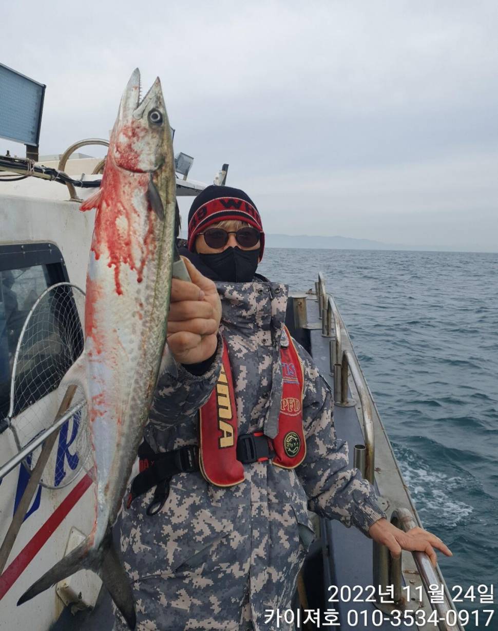 24일 오전 가을 오동통 방어 손맛 찐 합니다 (조황조행기 - 바다선상조황)