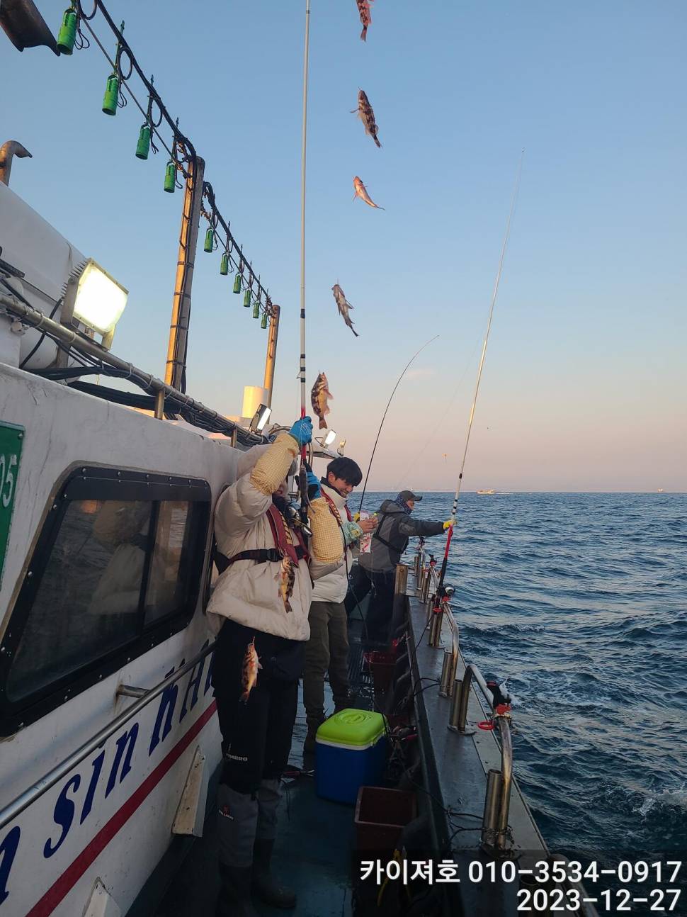27일 오전 볼락 열기 대 타작 (조황조행기 - 바다선상조황)