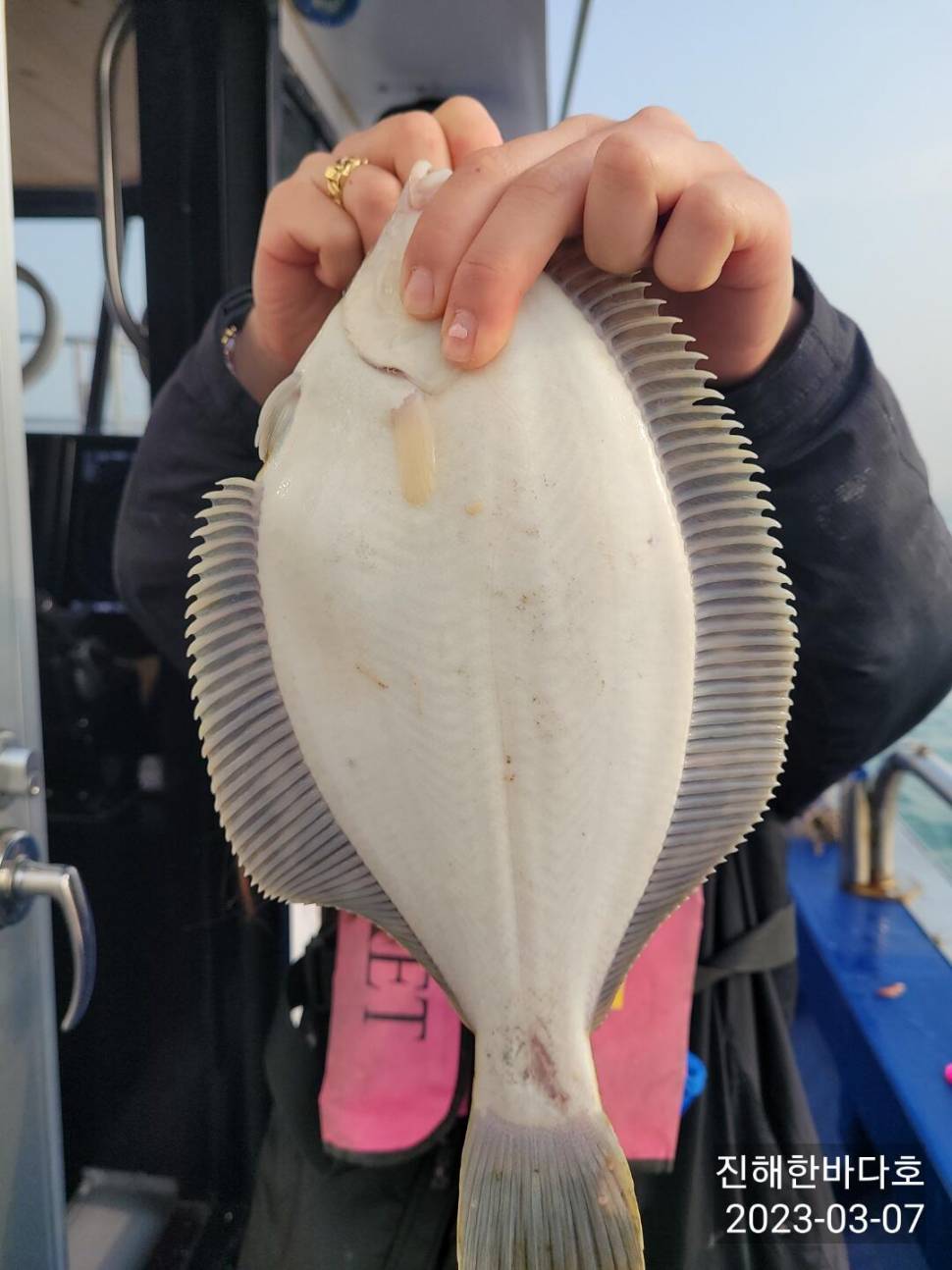 쎈 물때에도 씨알좋고 손맛 끝내주는 도다리 후두두둑 찐한 손맛 보러 계속해서 달립니다0 (조황조행기 - 바다선상조황)