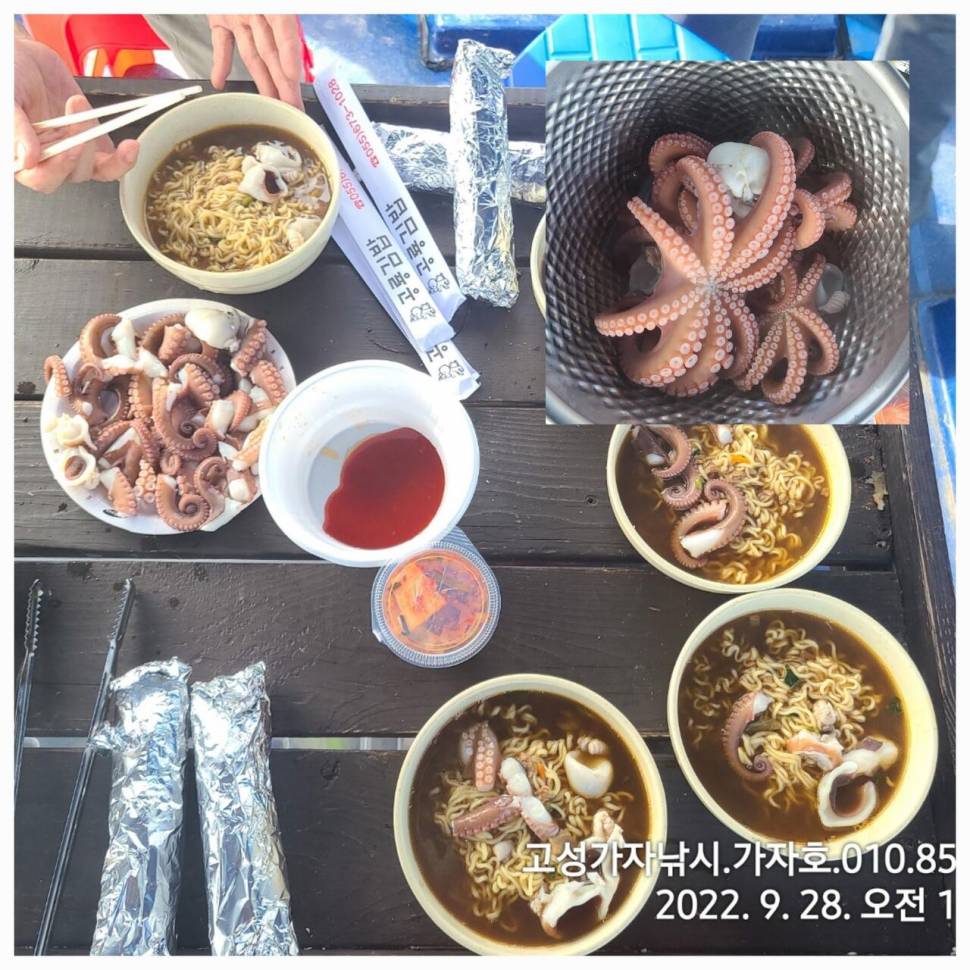 돌문어 잡으러 가즈아 (조황조행기 - 바다선상조황)