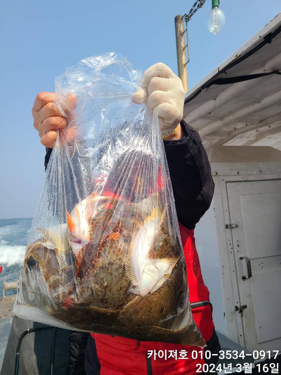 16일오전도 오후도 타작 (조황조행기 - 바다선상조황)