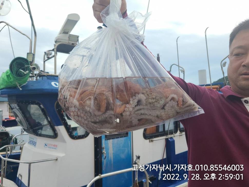 돌문어 잡으러 가즈아 (조황조행기 - 바다선상조황)