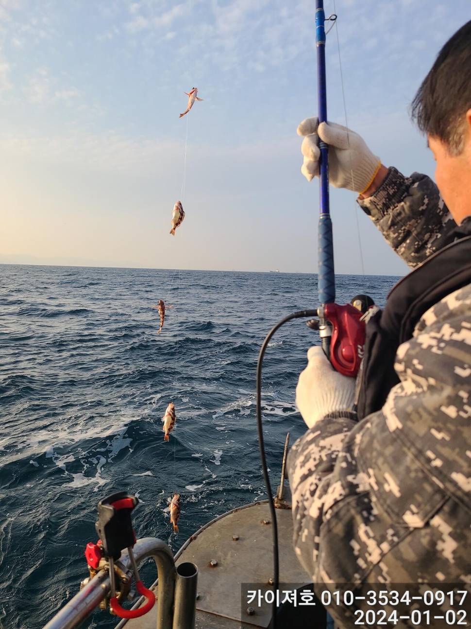 2일 오전 볼라열기 타작 (조황조행기 - 바다선상조황)