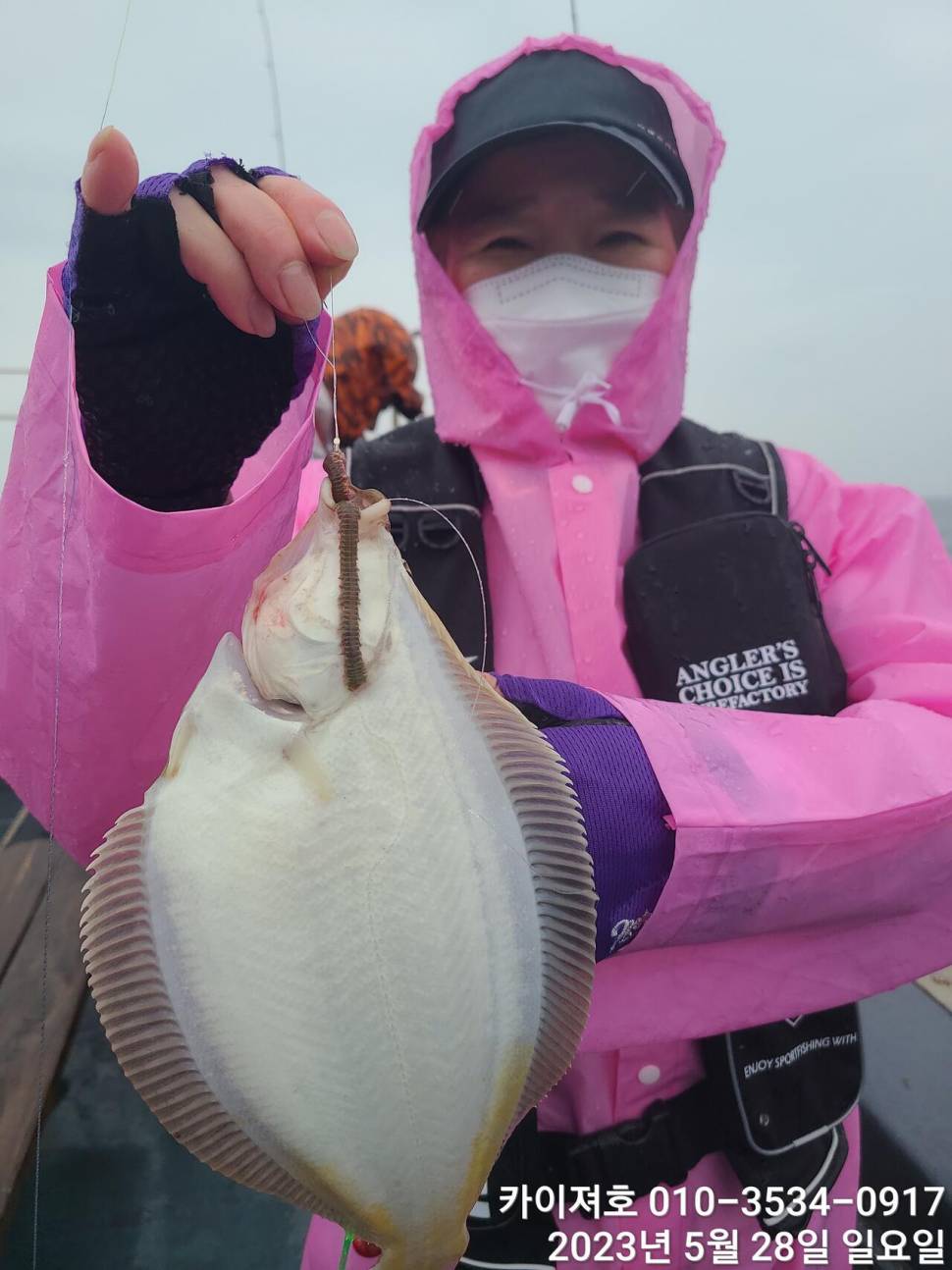 28일아래위로 쏟아진날 퍼붓어요 (조황조행기 - 바다선상조황)