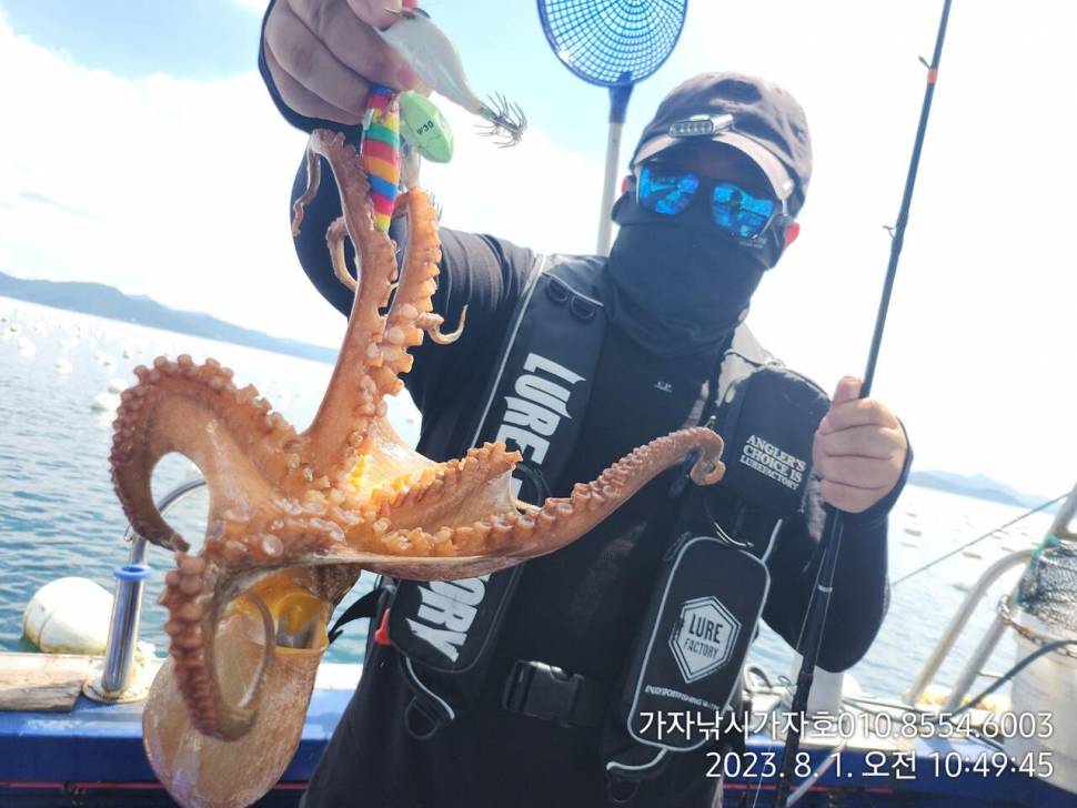 가자호 돌문어 조황입니다 (조황조행기 - 바다선상조황)
