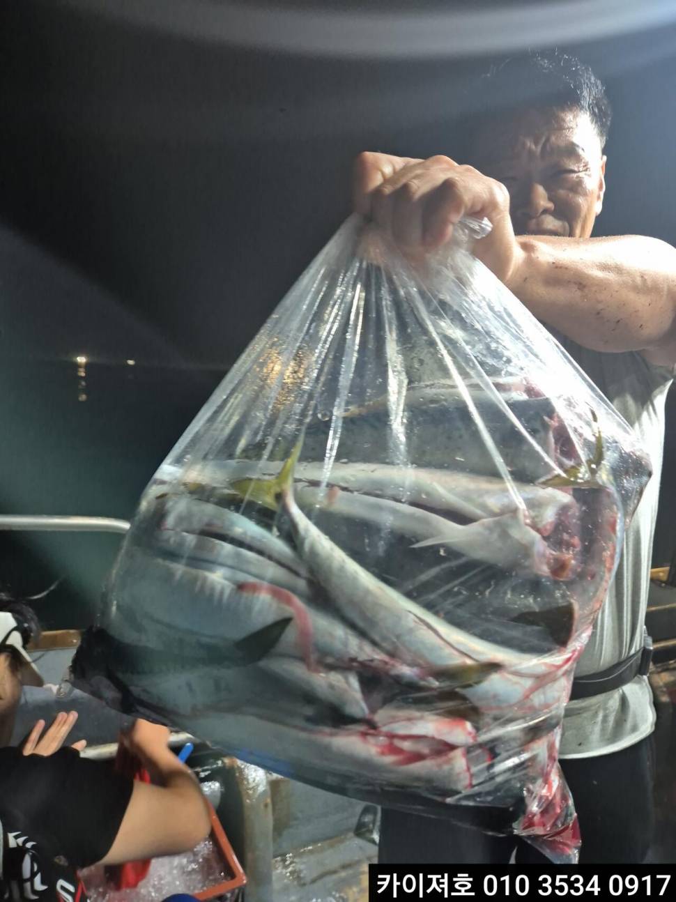 27일 시장급 고등어왕전갱이 조황 (조황조행기 - 바다선상조황)