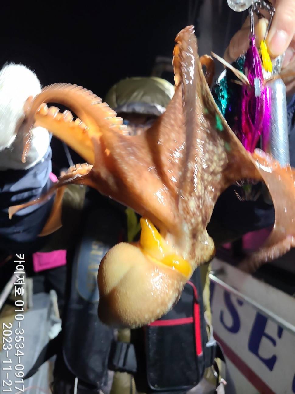 21일 카이져 돌문어 조황 씨알이 끝내줘요 (조황조행기 - 바다선상조황)