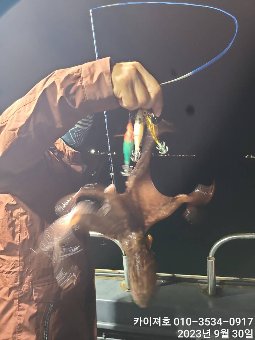 30날돌문어 끈적 전원 힛트 씨알굿 (조황조행기 - 바다선상조황)