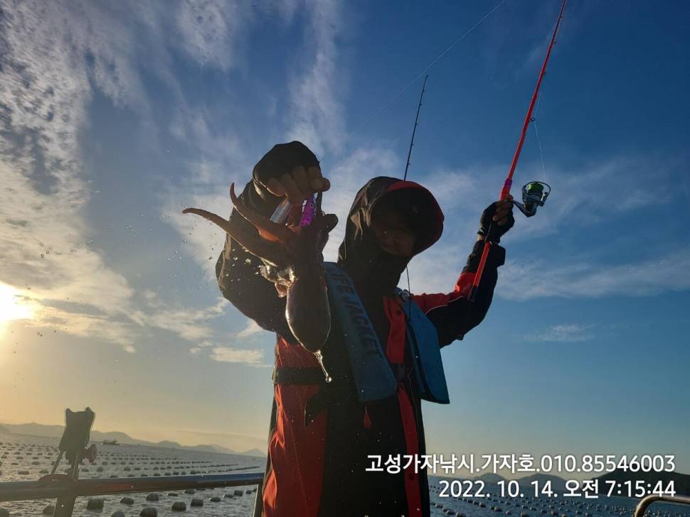 돌문어 실시간 쭈욱 올라옵니다 (조황조행기 - 바다선상조황)