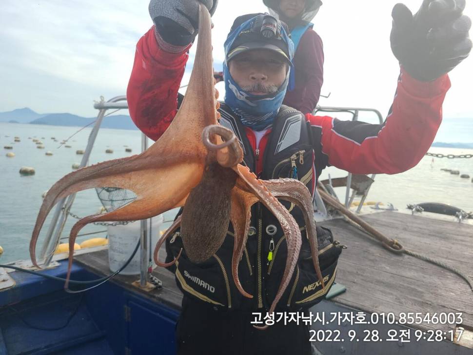 돌문어 잡으러 가즈아 (조황조행기 - 바다선상조황)