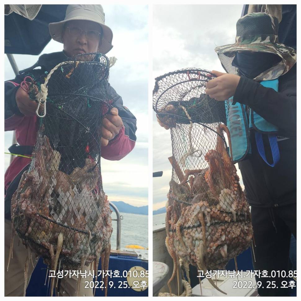 돌문어 초대박 조황 (조황조행기 - 바다선상조황)