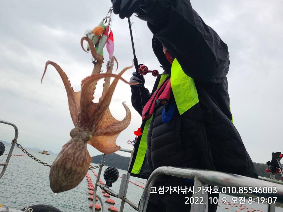 휴일 돌문어 실시간 (조황조행기 - 바다선상조황)