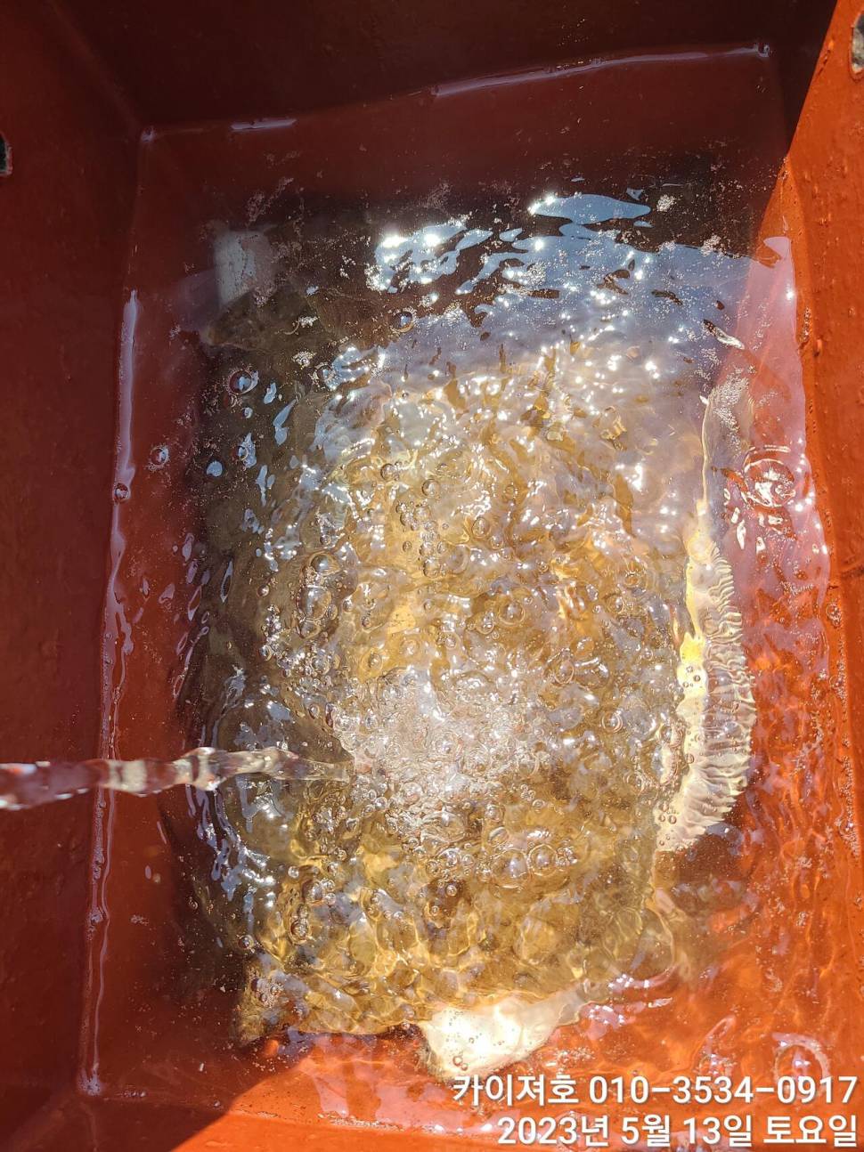 13일오전 도다리참가자미 넉넉히 담았어요 (조황조행기 - 바다선상조황)