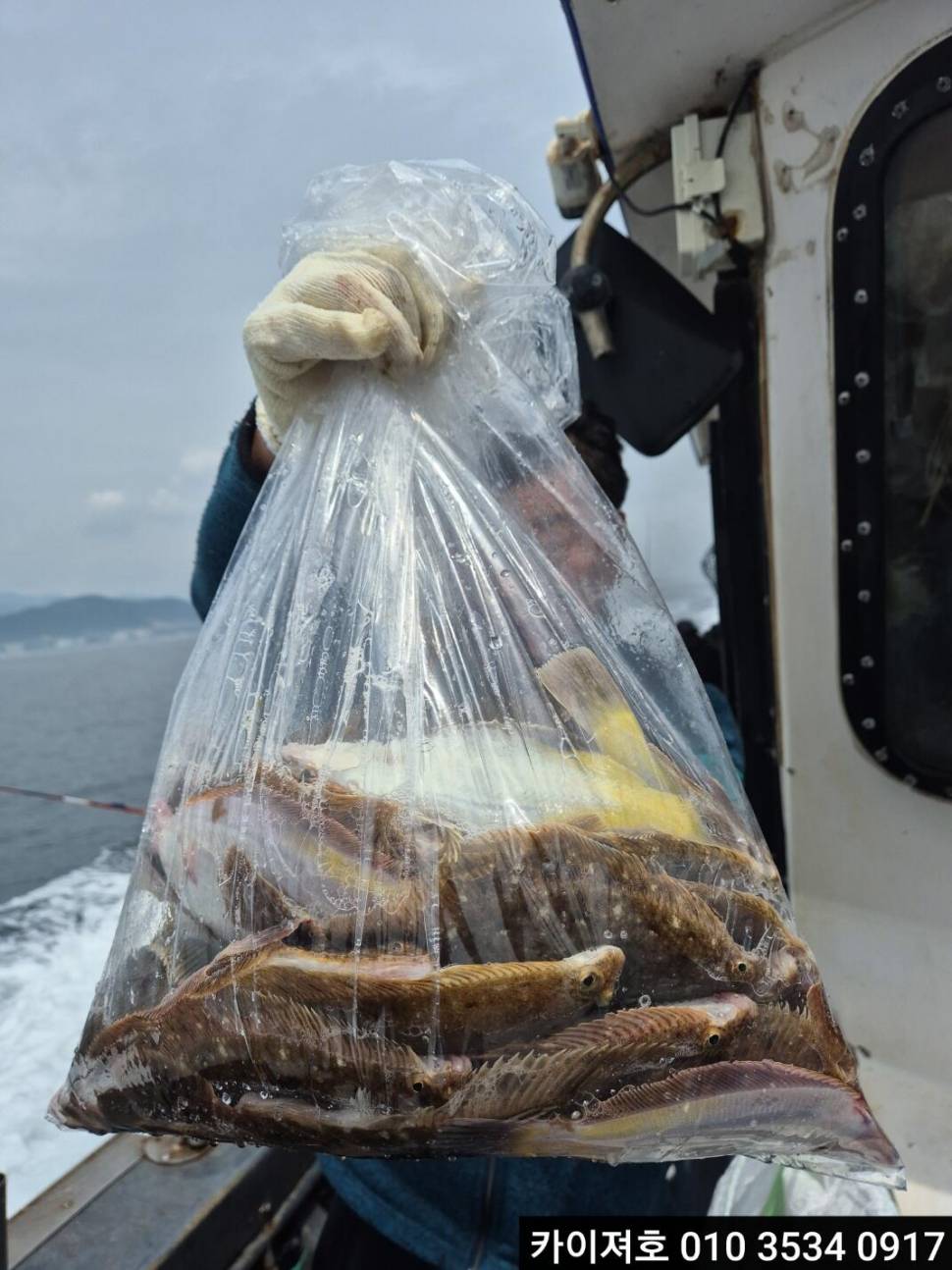 11일 도다리참가자미 조황 (조황조행기 - 바다선상조황)