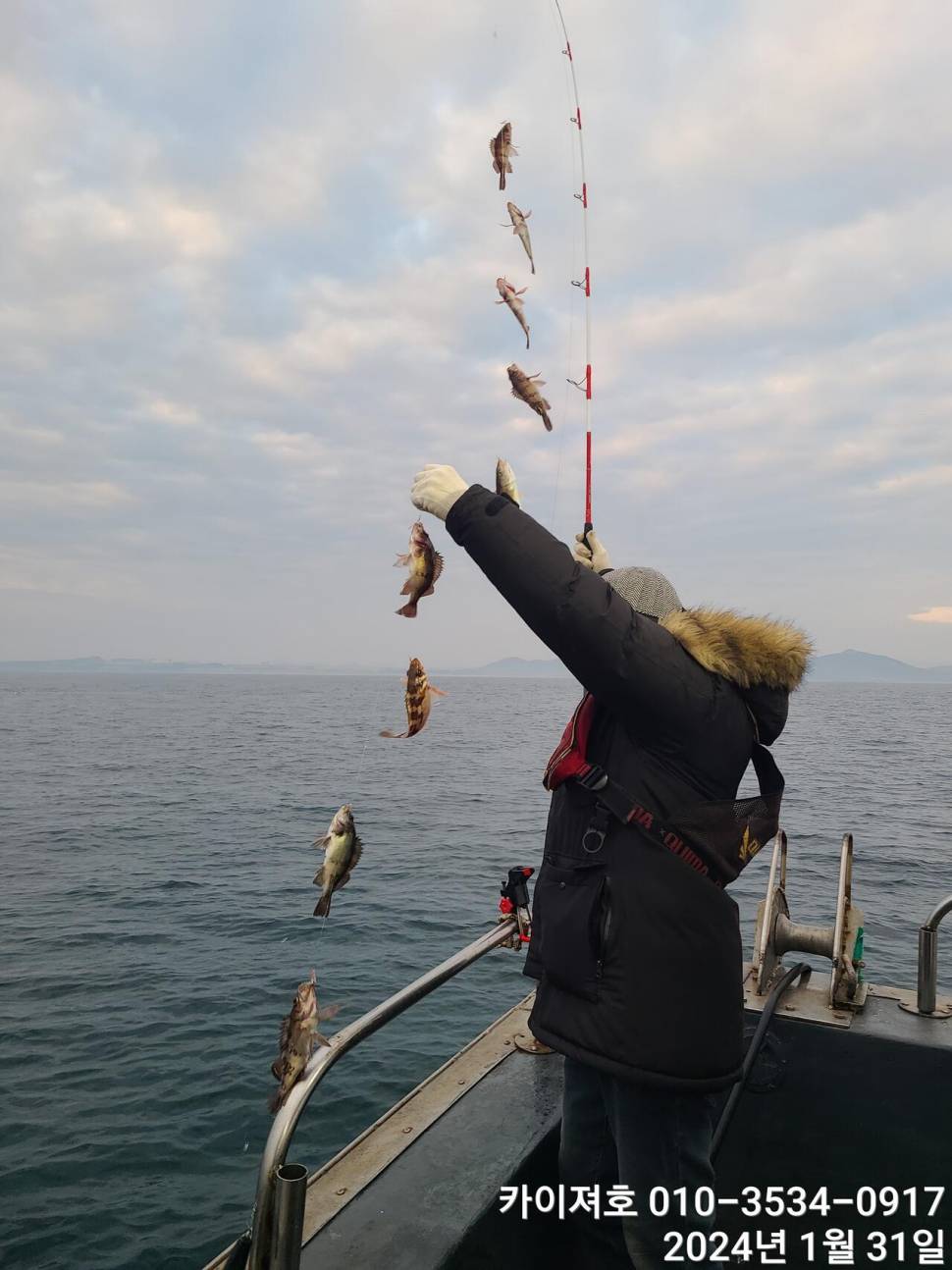오늘도 볼락열기 만만세 타작 (조황조행기 - 바다선상조황)