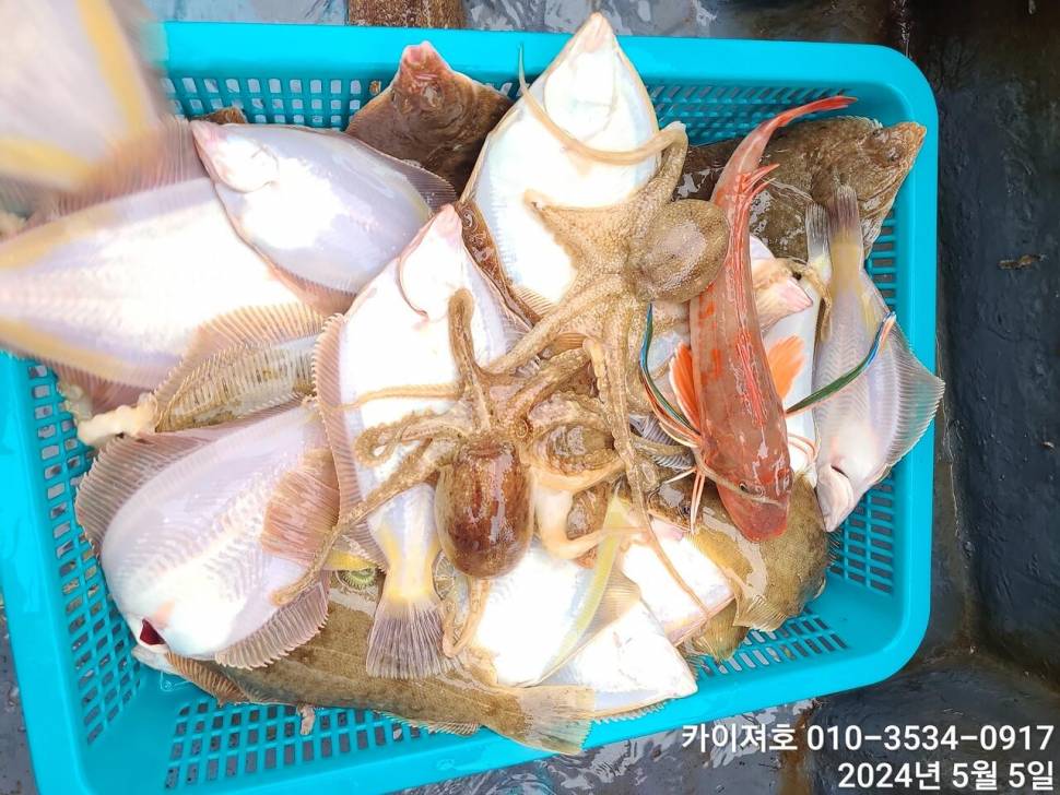 나날이 타작 합니다 날씨만 좋으면요 (조황조행기 - 바다선상조황)