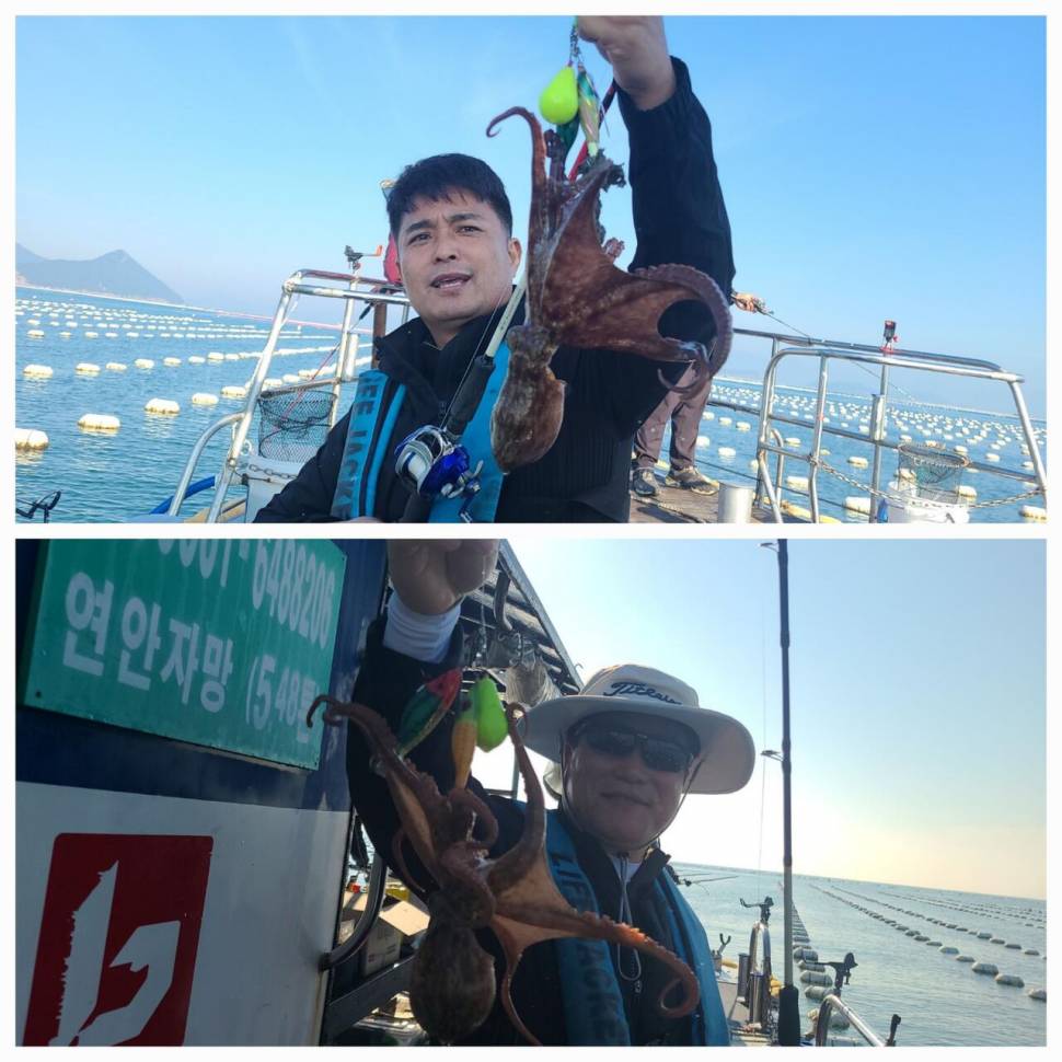 돌문어 가득가득 (조황조행기 - 바다선상조황)