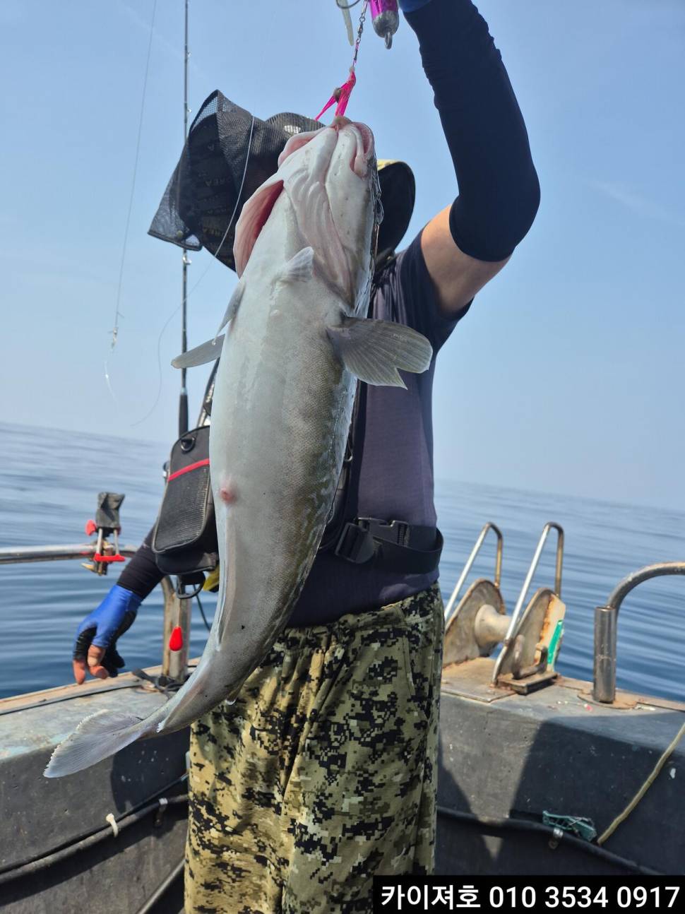 7일왕대구 쿨러 조황 (조황조행기 - 바다선상조황)