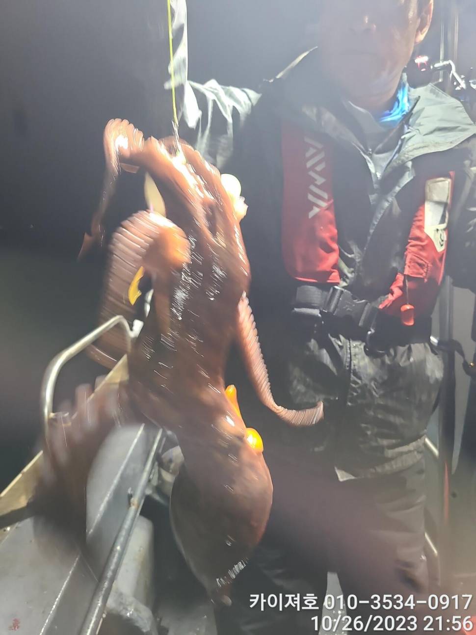26일포항 돌문어 마릿수도 씨알도 굿 (조황조행기 - 바다선상조황)