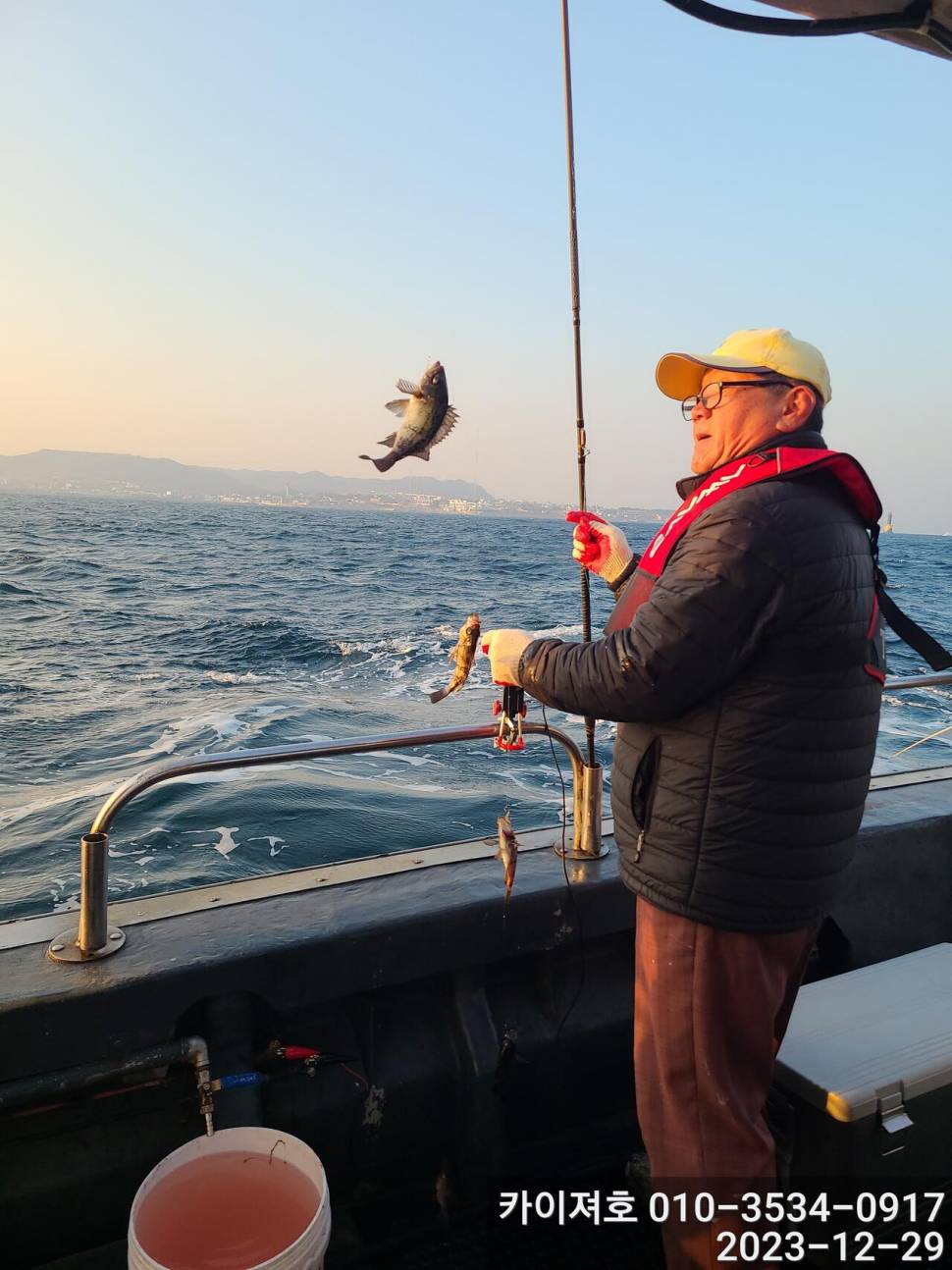 29일 오늘도 타작 엄버지기 볼락열기 (조황조행기 - 바다선상조황)