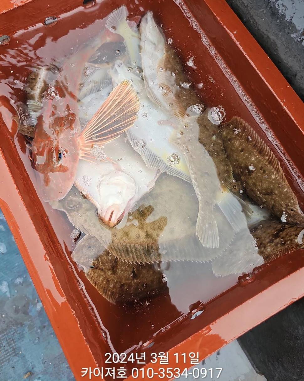 11일이것이 바로 진정한 타작 수요일 여유자리 (조황조행기 - 바다선상조황)