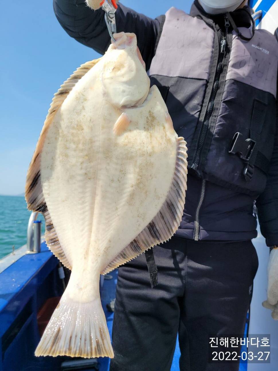 오늘도 후둑 후둑 굵직한 도다리들로 손맛 찐하게 보시며 즐낚 하고왔습니다0 (조황조행기 - 바다선상조황)