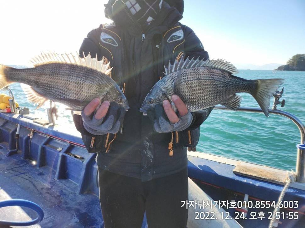 주말감성돔 조황 (조황조행기 - 바다선상조황)