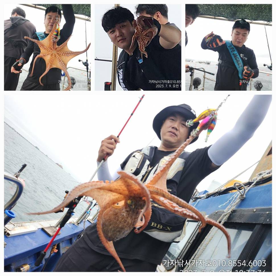 가자호 돌문어 더블히트 키로오버급까지 (조황조행기 - 바다선상조황)