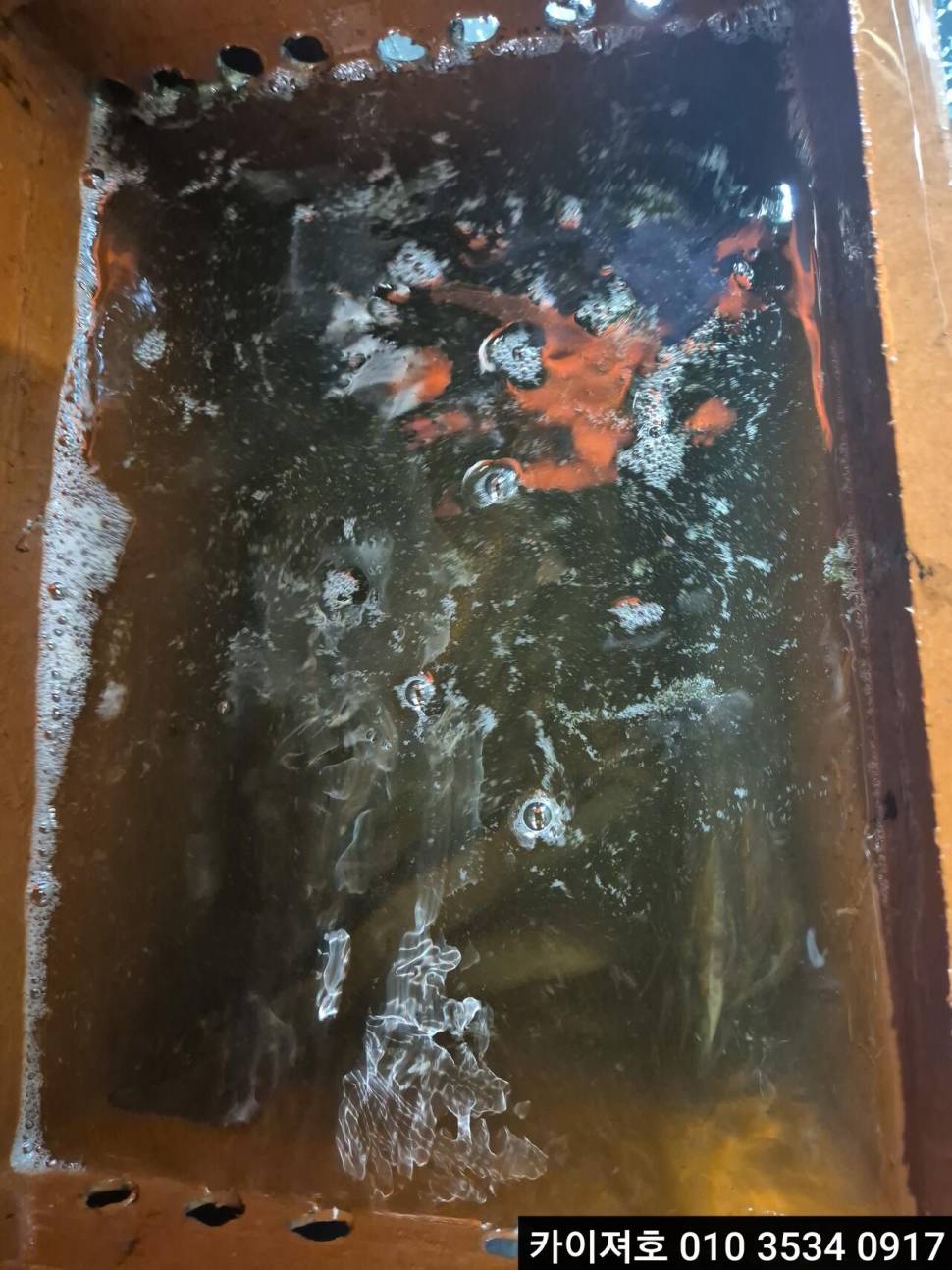 22일오징어 조황 (조황조행기 - 바다선상조황)