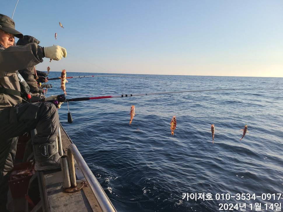 화요일 오전 볼락열기오후5시 오징어한치 여유자리운동장 (조황조행기 - 바다선상조황)