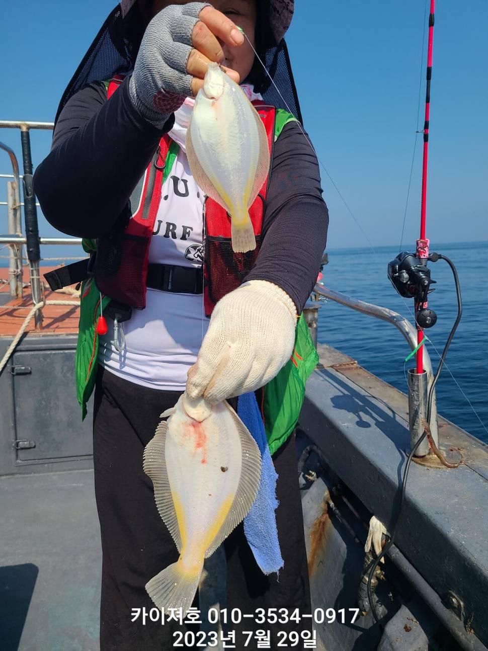 29일오전 도다리가자미 좋네요 시즌종료 임박 (조황조행기 - 바다선상조황)