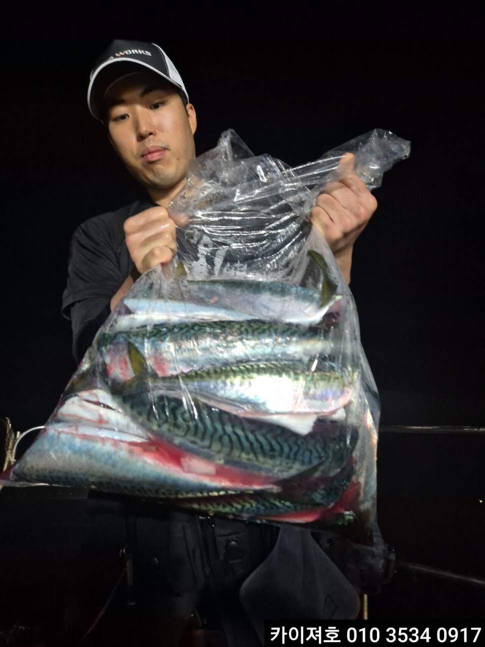 27일 시장급 고등어왕전갱이 조황 (조황조행기 - 바다선상조황)