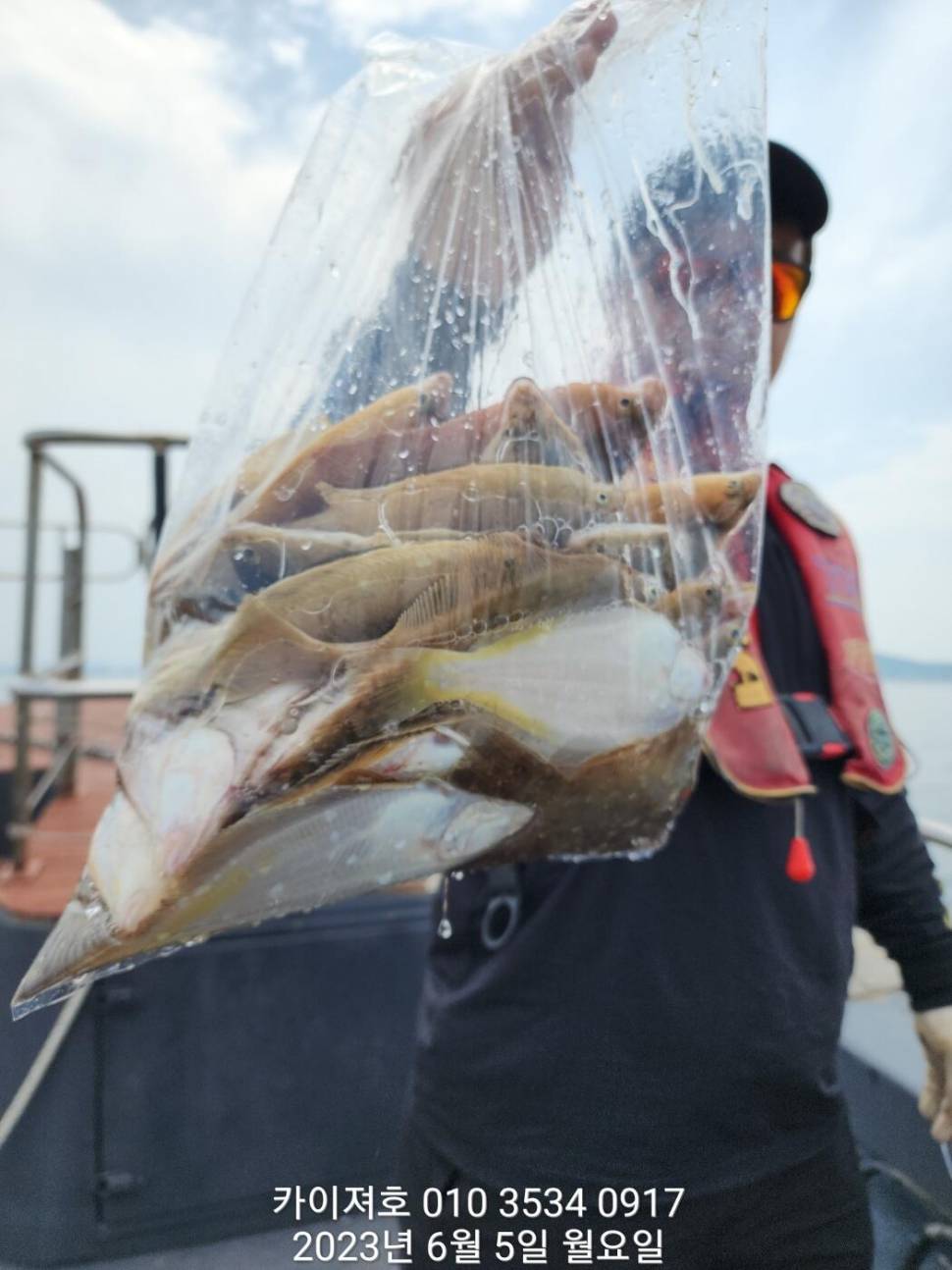 5일 아따 대단해요ㅎ (조황조행기 - 바다선상조황)