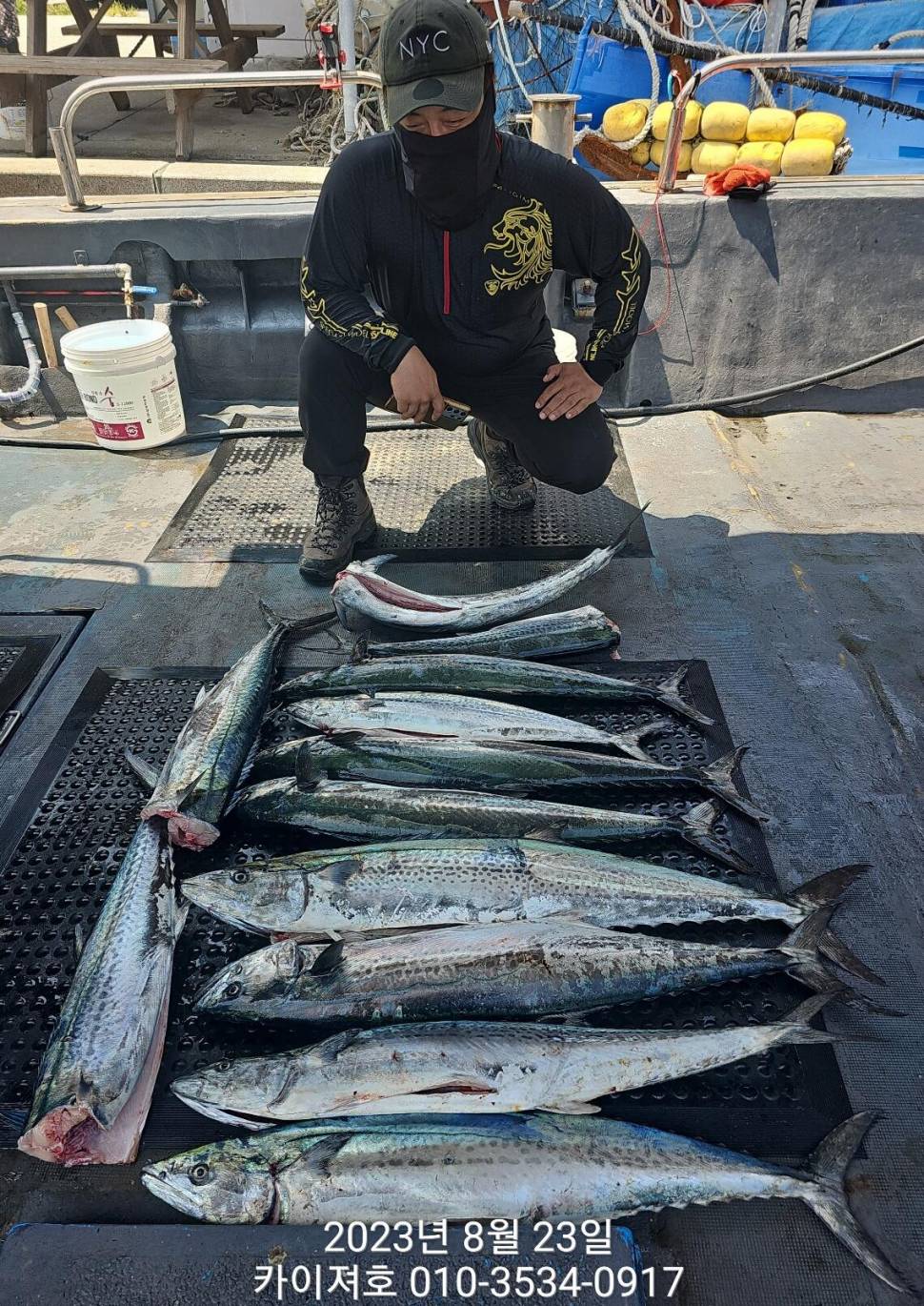 23일타작 마무리 (조황조행기 - 바다선상조황)