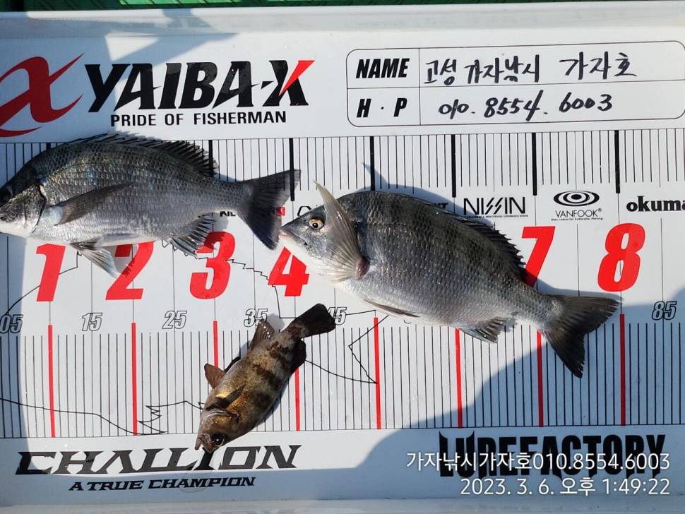 묵직한 손맛 감성돔입니다 (조황조행기 - 바다선상조황)