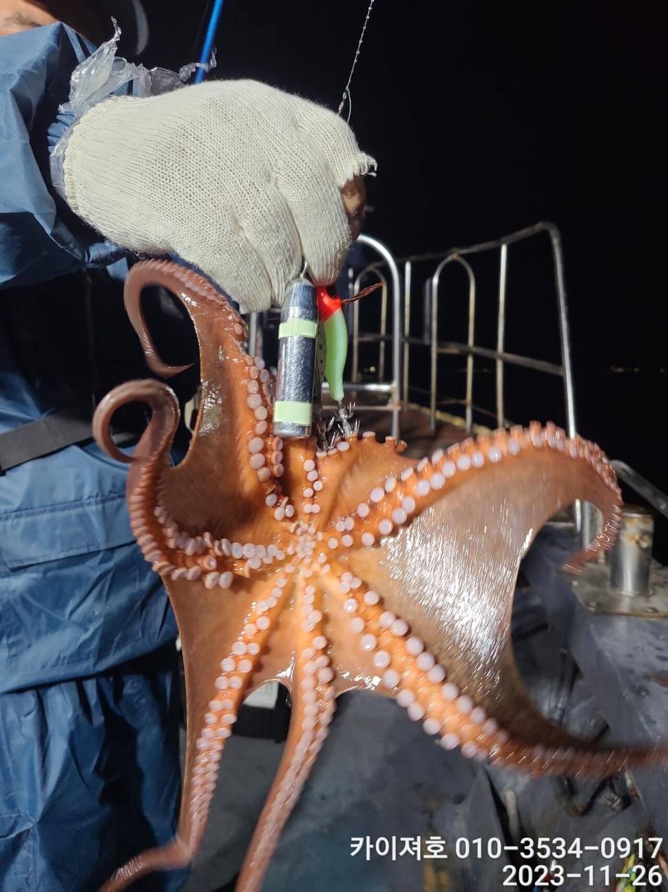 26일 카이져호 돌문어 호조황 오늘도 굿 (조황조행기 - 바다선상조황)