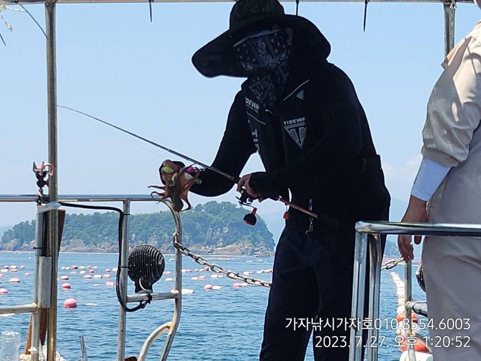 가자호 뜨거운 여름 돌문어입니다 (조황조행기 - 바다선상조황)