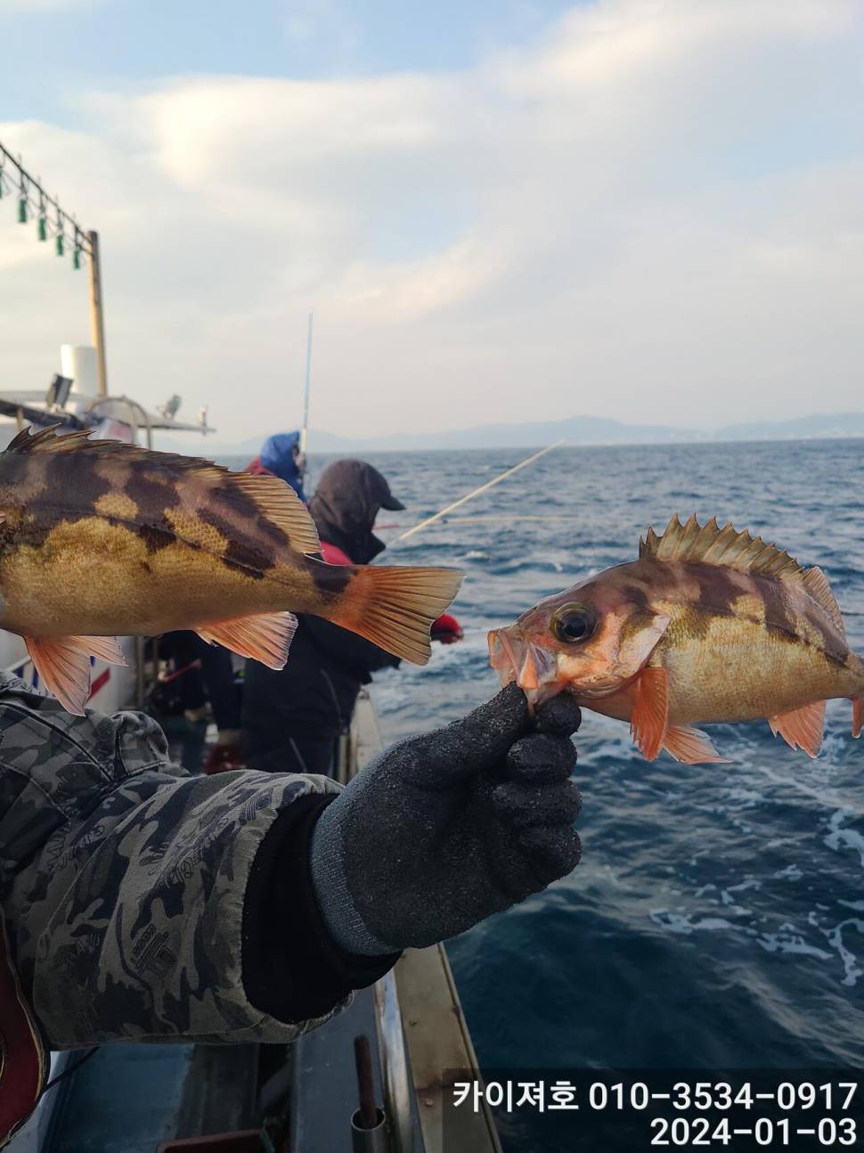 3일오전 완전 쓸어 담았네 왕볼락 볼락 열기 (조황조행기 - 바다선상조황)