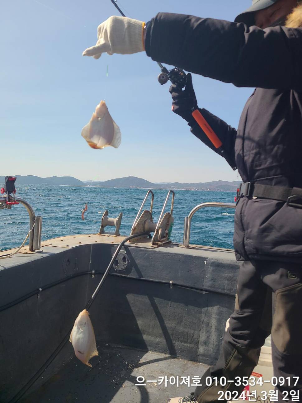 2일 오후 도다리참가자미 대박 입니다 (조황조행기 - 바다선상조황)