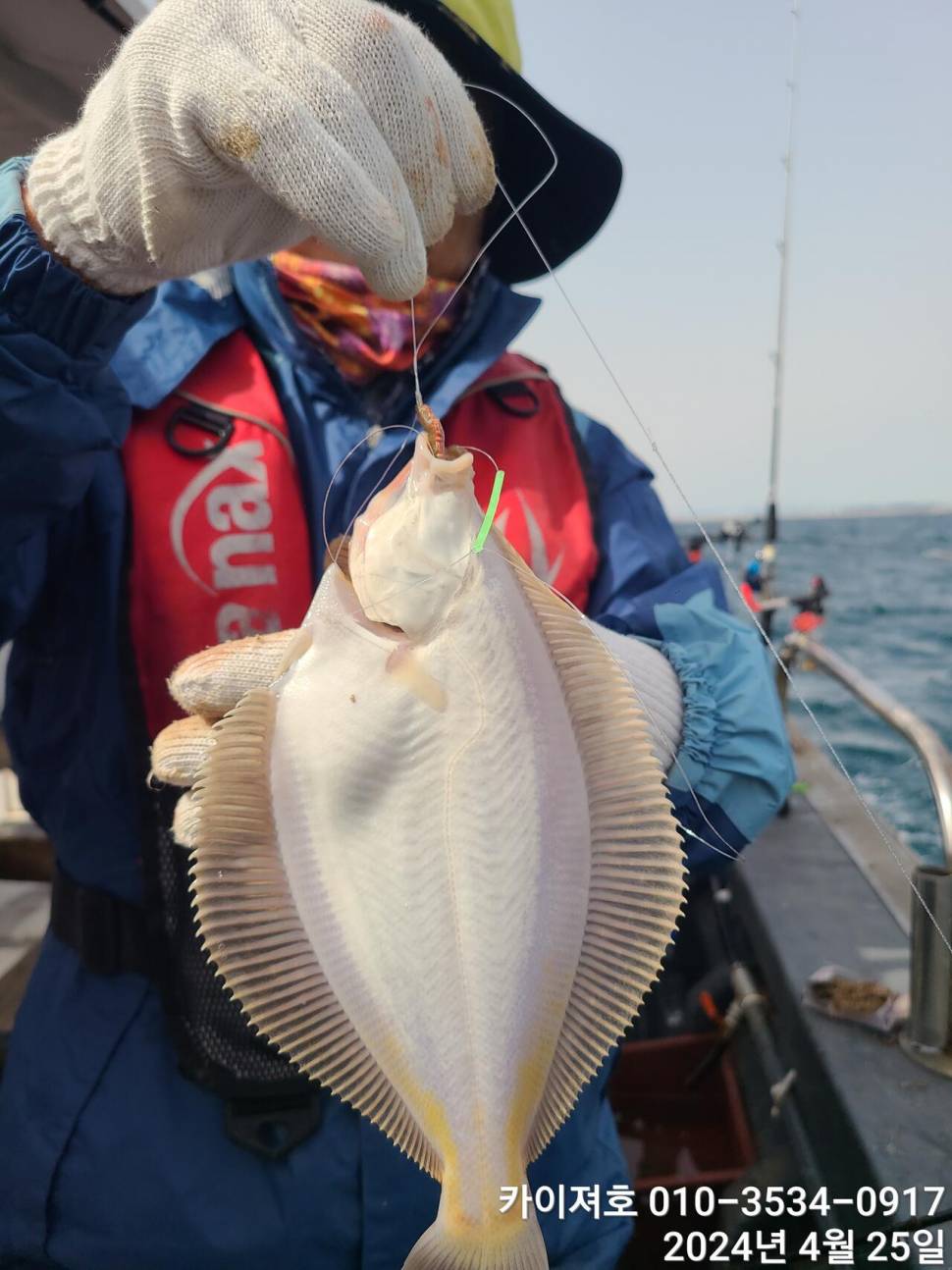 25일 삼박자가 뒤틀린 예민한 하루 (조황조행기 - 바다선상조황)