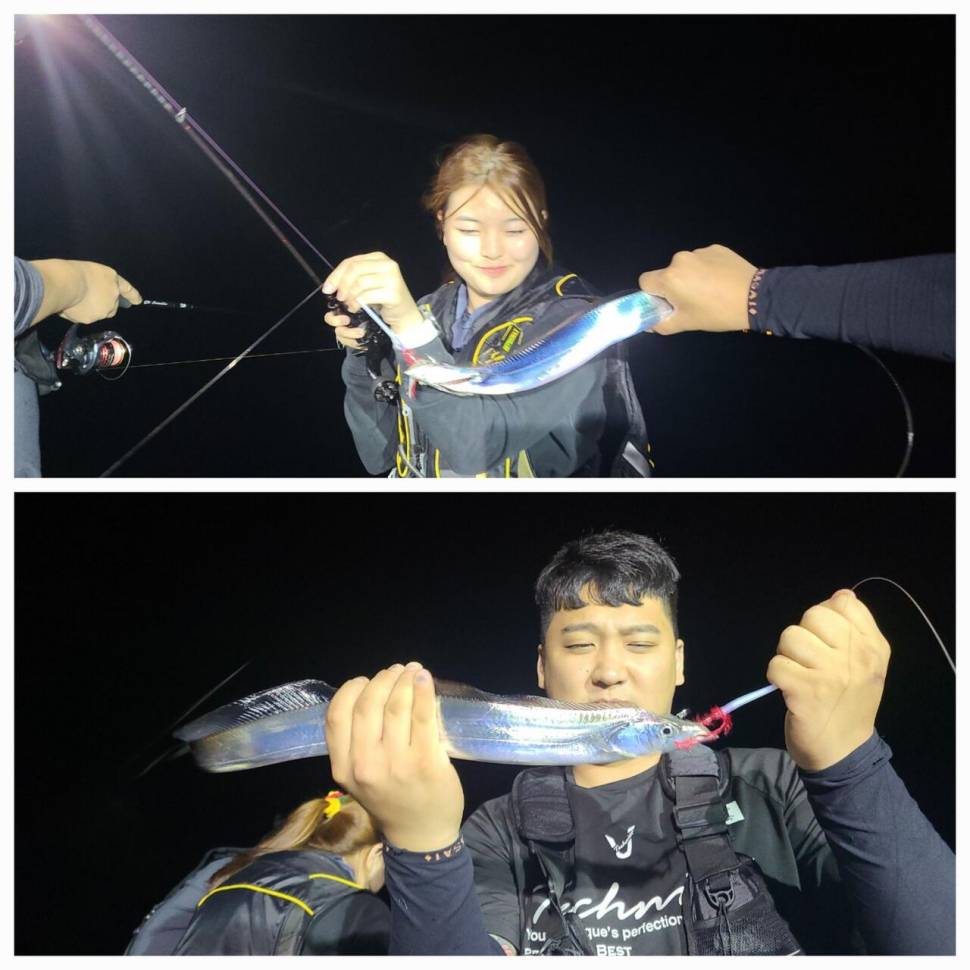 갈치 물색도 살아나고 조황도 살아나고 (조황조행기 - 바다선상조황)
