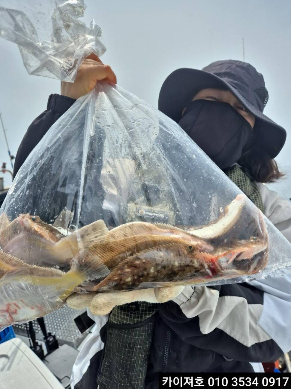 11일 도다리참가자미 조황 (조황조행기 - 바다선상조황)