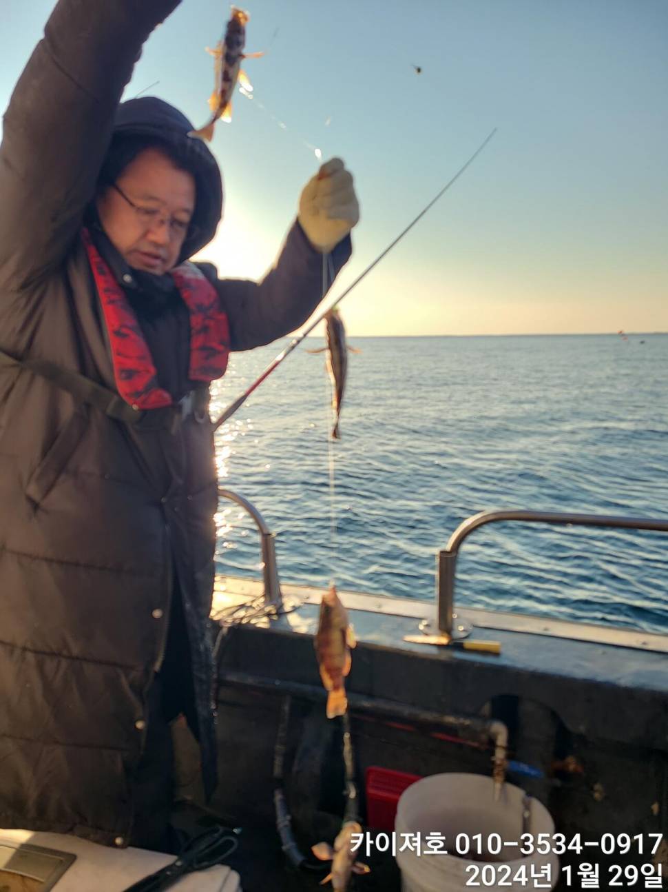 29일오전 볼락 열기 쿨러가 두둑 합니다 (조황조행기 - 바다선상조황)