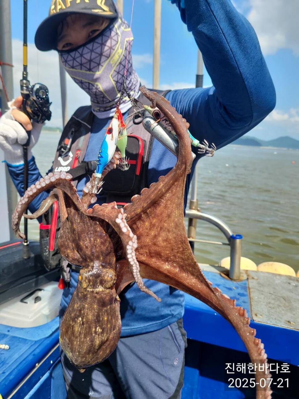 진해한바다호 오늘도 손맛 끝내주는 돌문어 쭉쭉 뽑아올려주시며 찐한 손맛 보고왔습니다0 (조황조행기 - 바다선상조황)
