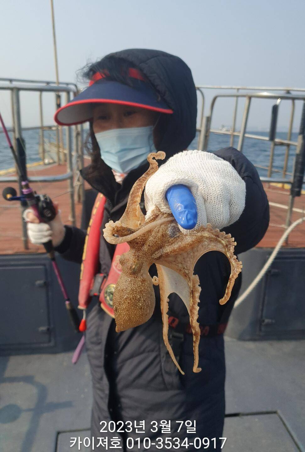 7일현재상황 쭈꾸미 왕도다리 참가자미 마릿수를 채워라 (조황조행기 - 바다선상조황)